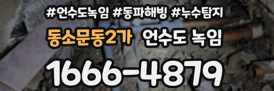 동소문동2가 언수도 녹임