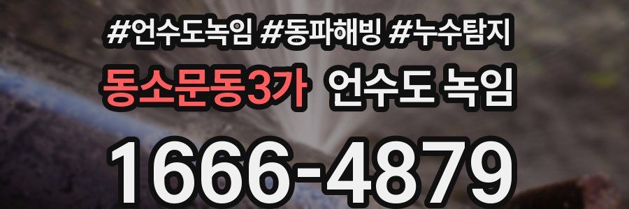 동소문동3가 언수도 녹임