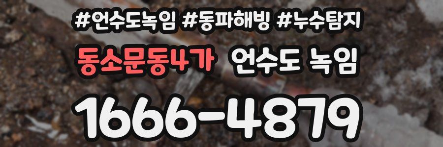 동소문동4가 언수도 녹임