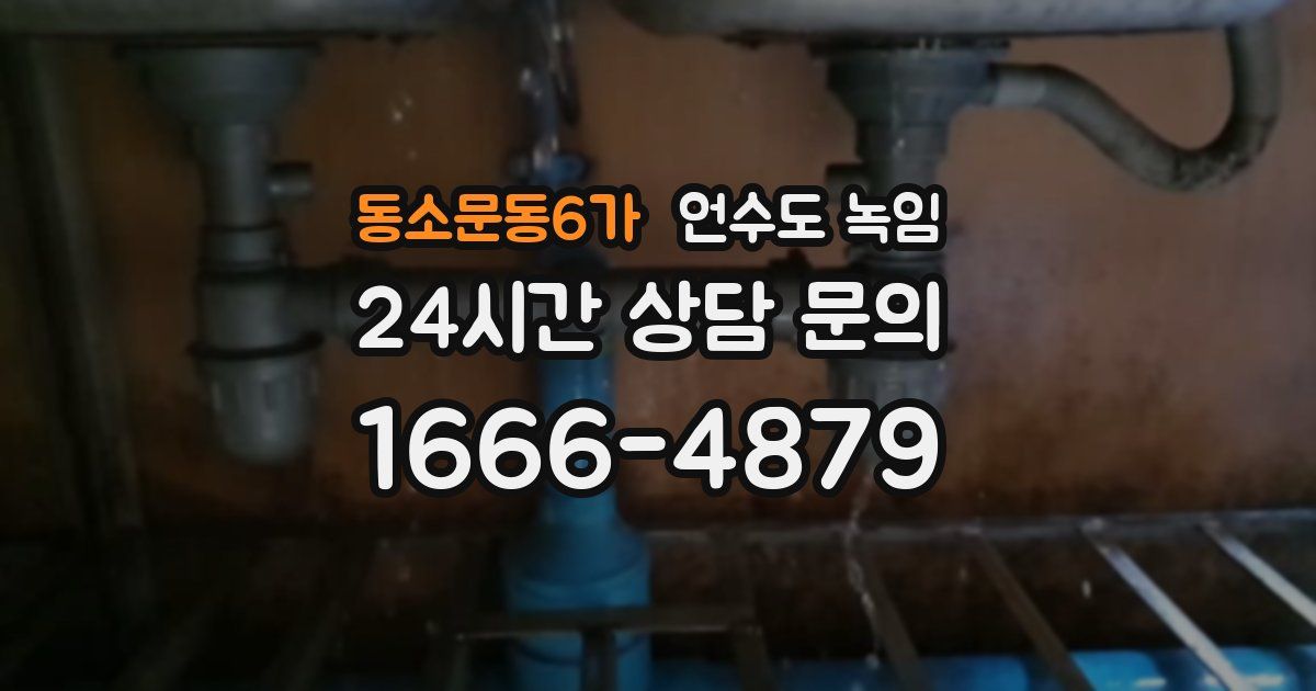 동소문동6가 언수도 녹임