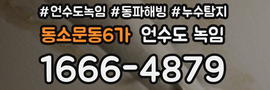 동소문동6가 언수도 녹임