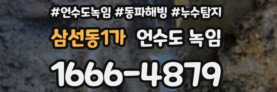 삼선동1가 언수도 녹임