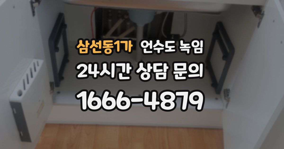 삼선동1가 언수도 녹임