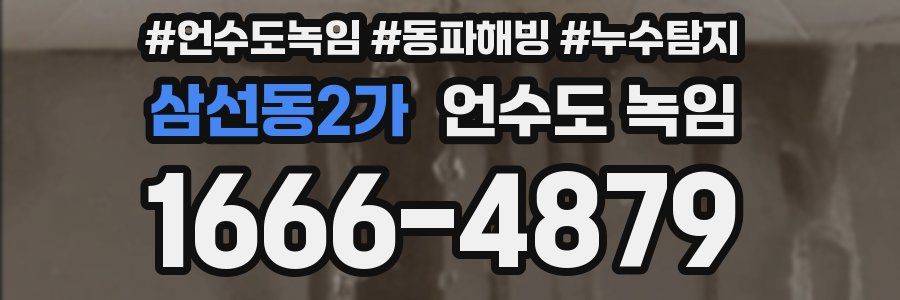 삼선동2가 언수도 녹임