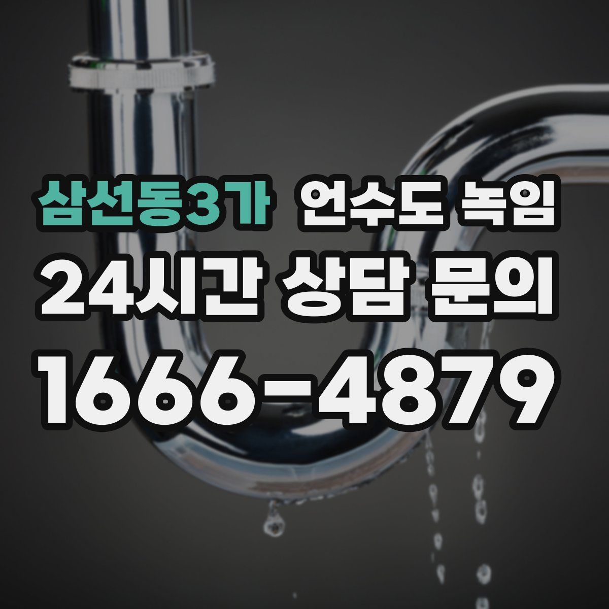 삼선동3가 언수도 녹임