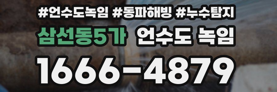 삼선동5가 언수도 녹임