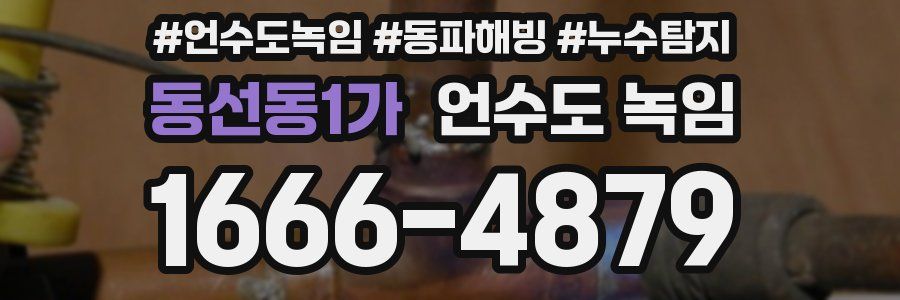 동선동1가 언수도 녹임