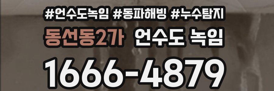 동선동2가 언수도 녹임