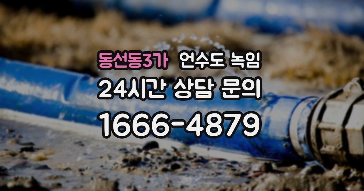 동선동3가 언수도 녹임