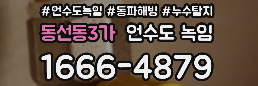 동선동3가 언수도 녹임