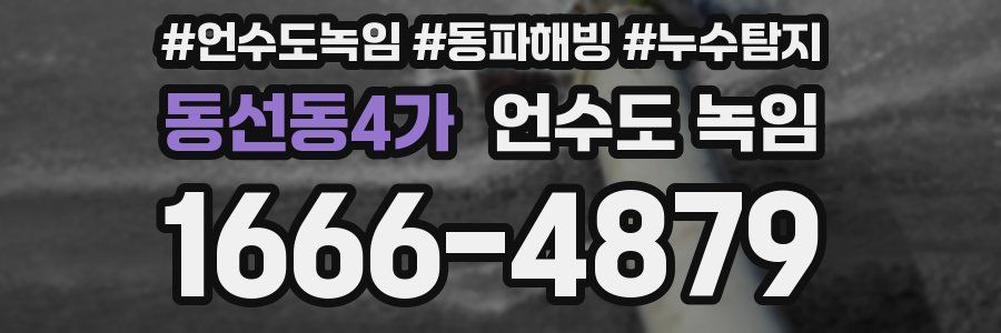 동선동4가 언수도 녹임