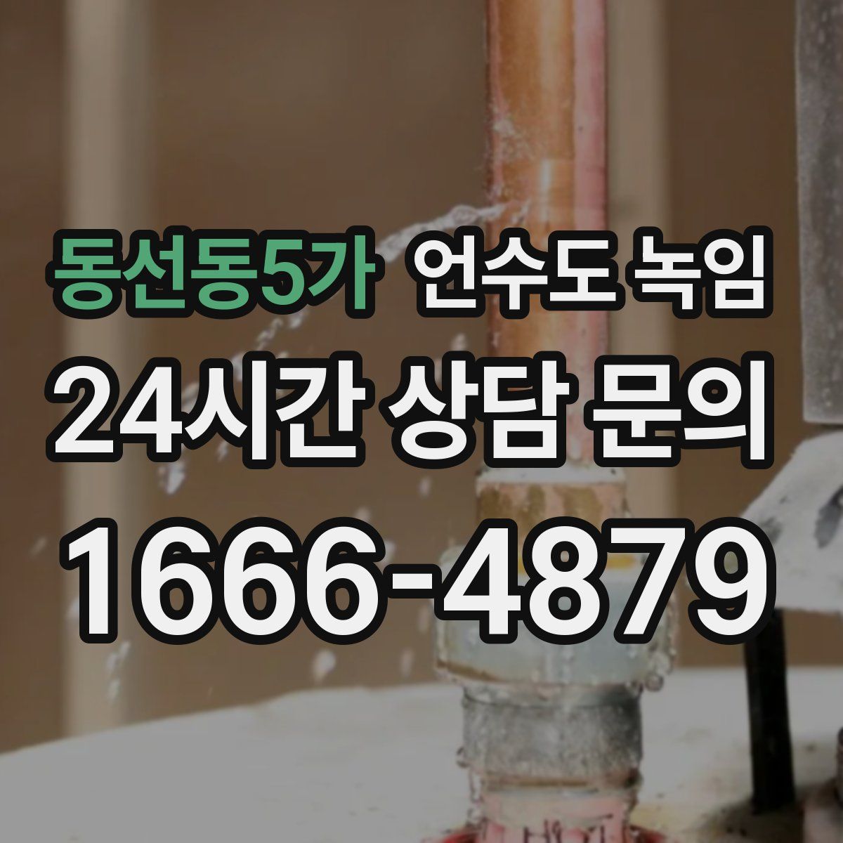 동선동5가 언수도 녹임