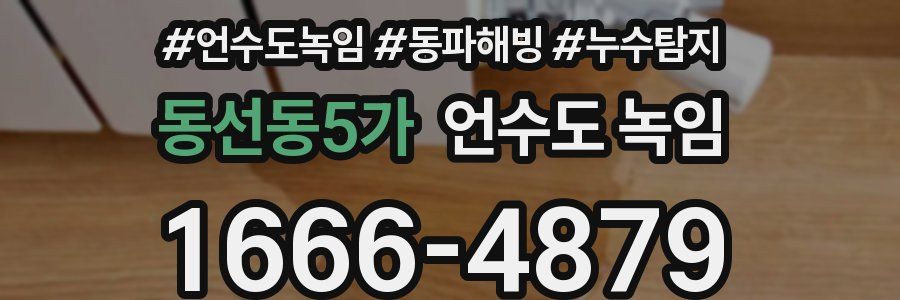 동선동5가 언수도 녹임