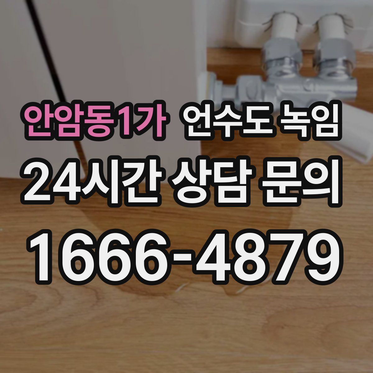 안암동1가 언수도 녹임