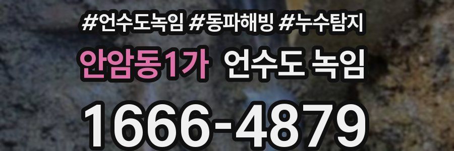 안암동1가 언수도 녹임