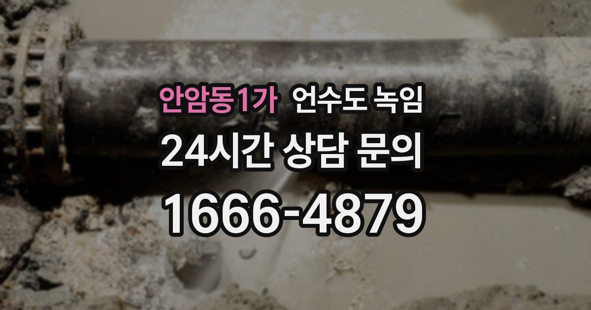 안암동1가 언수도 녹임