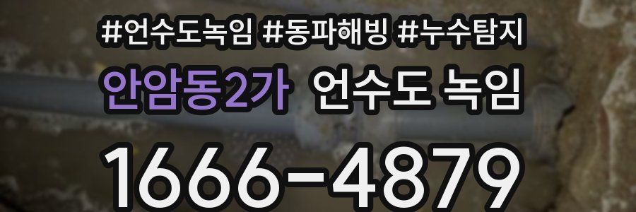 안암동2가 언수도 녹임