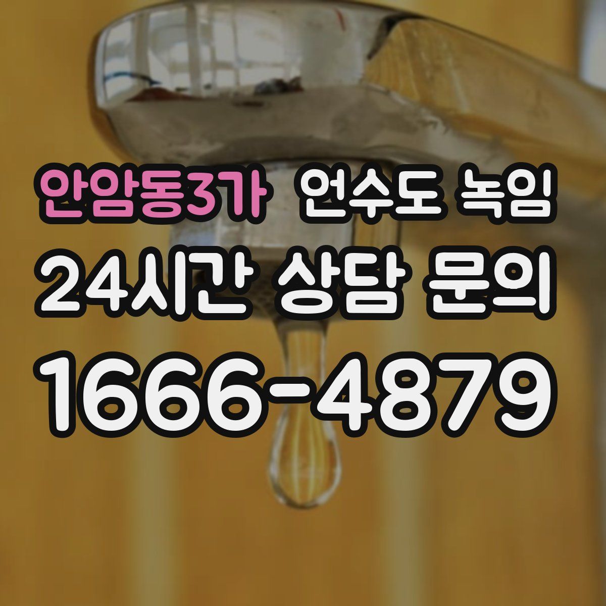 안암동3가 언수도 녹임