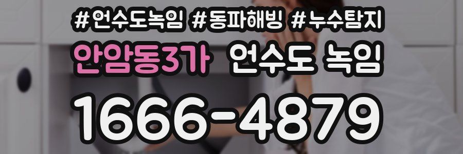 안암동3가 언수도 녹임