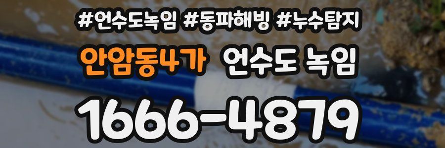 안암동4가 언수도 녹임