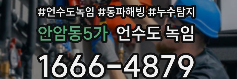 안암동5가 언수도 녹임