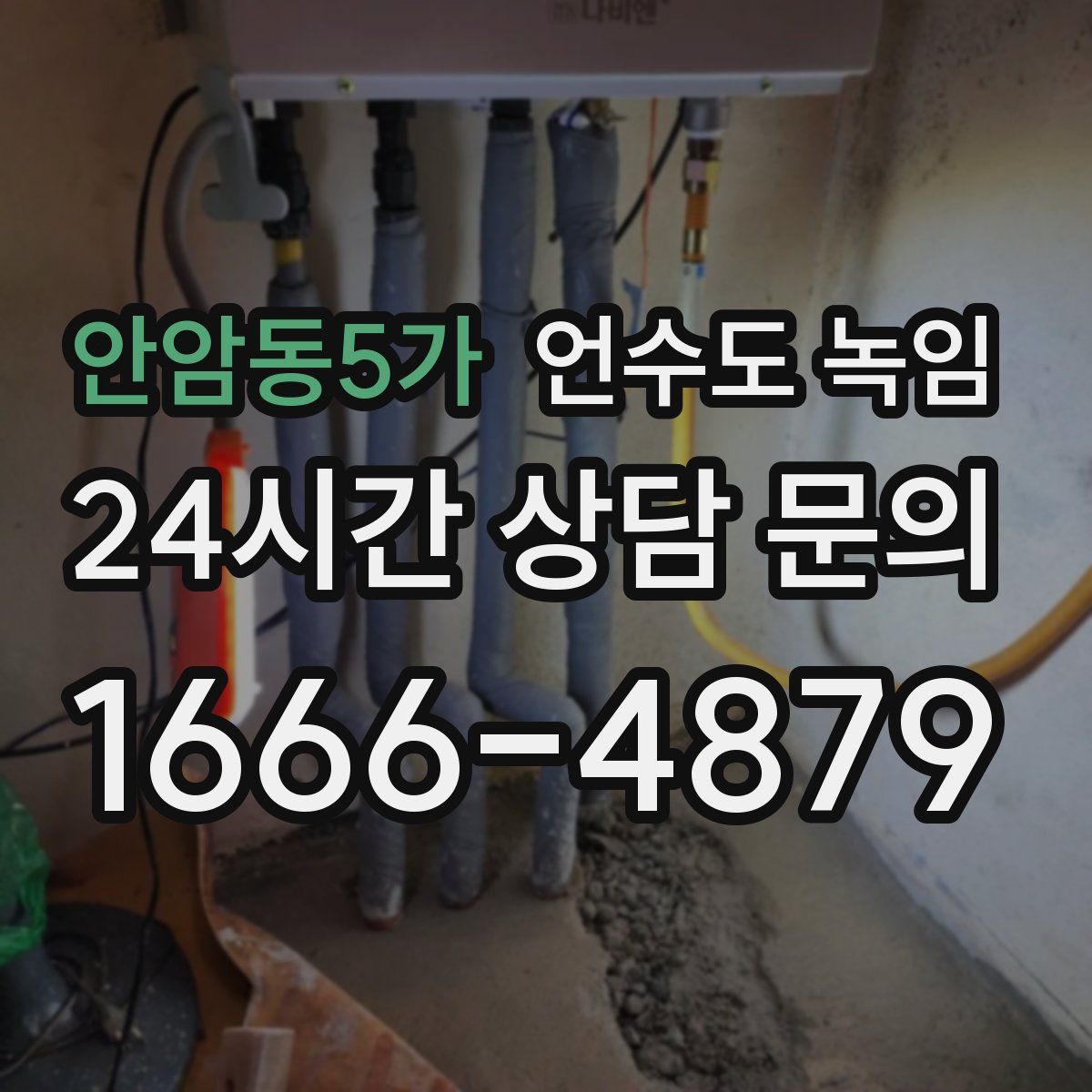 안암동5가 언수도 녹임