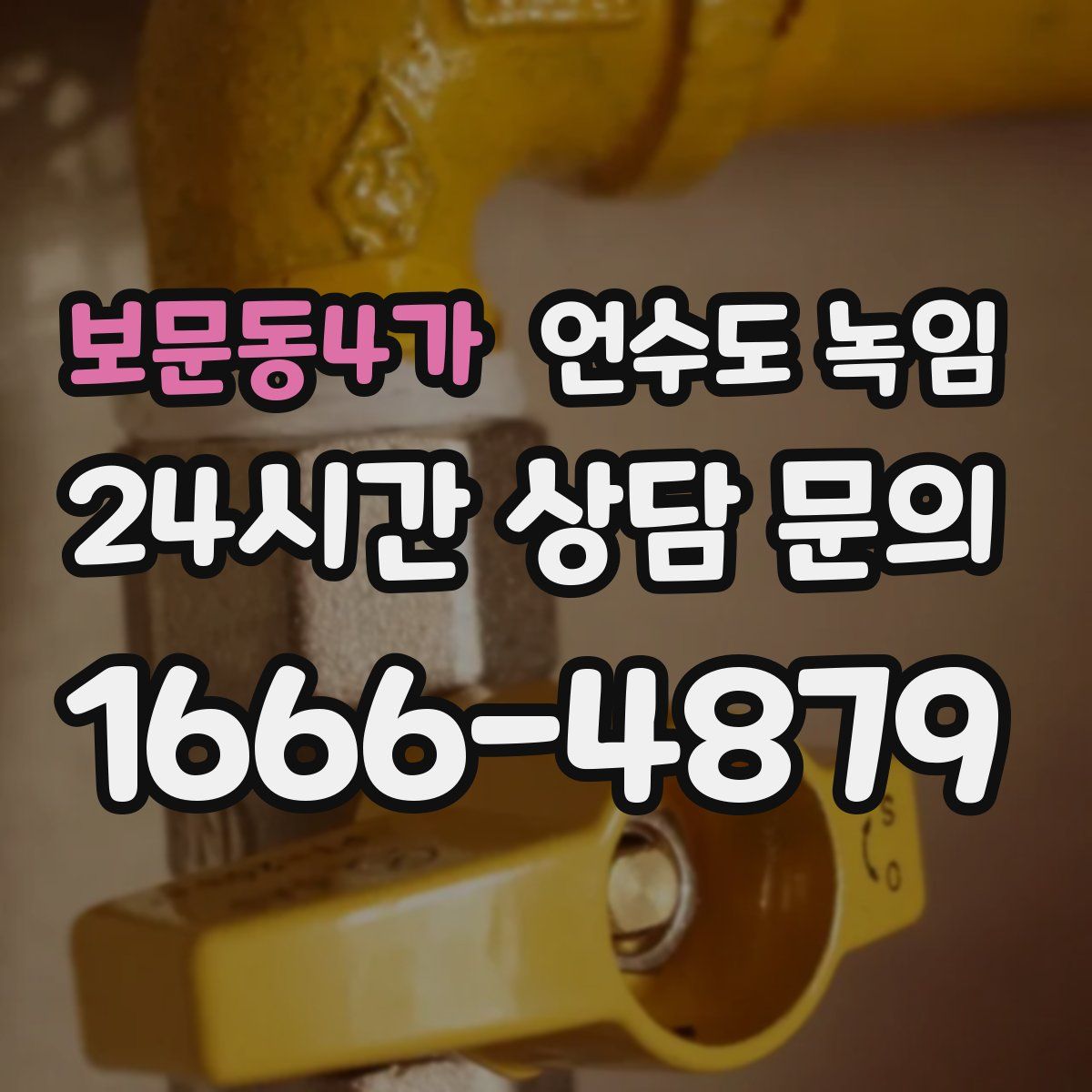 보문동4가 언수도 녹임