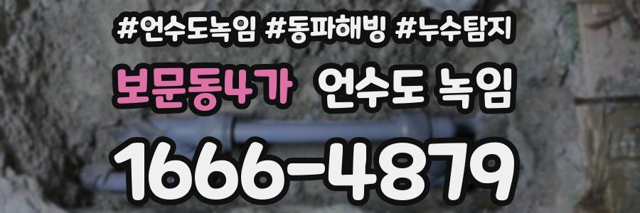 보문동4가 언수도 녹임