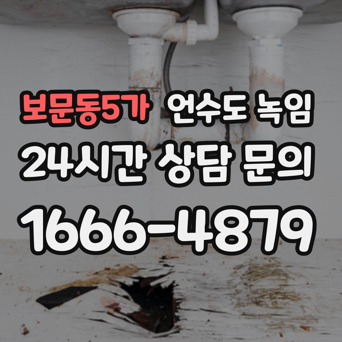 보문동5가 언수도 녹임