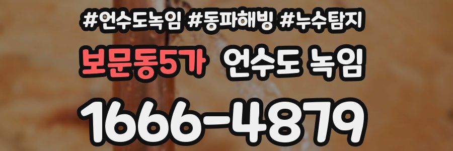 보문동5가 언수도 녹임