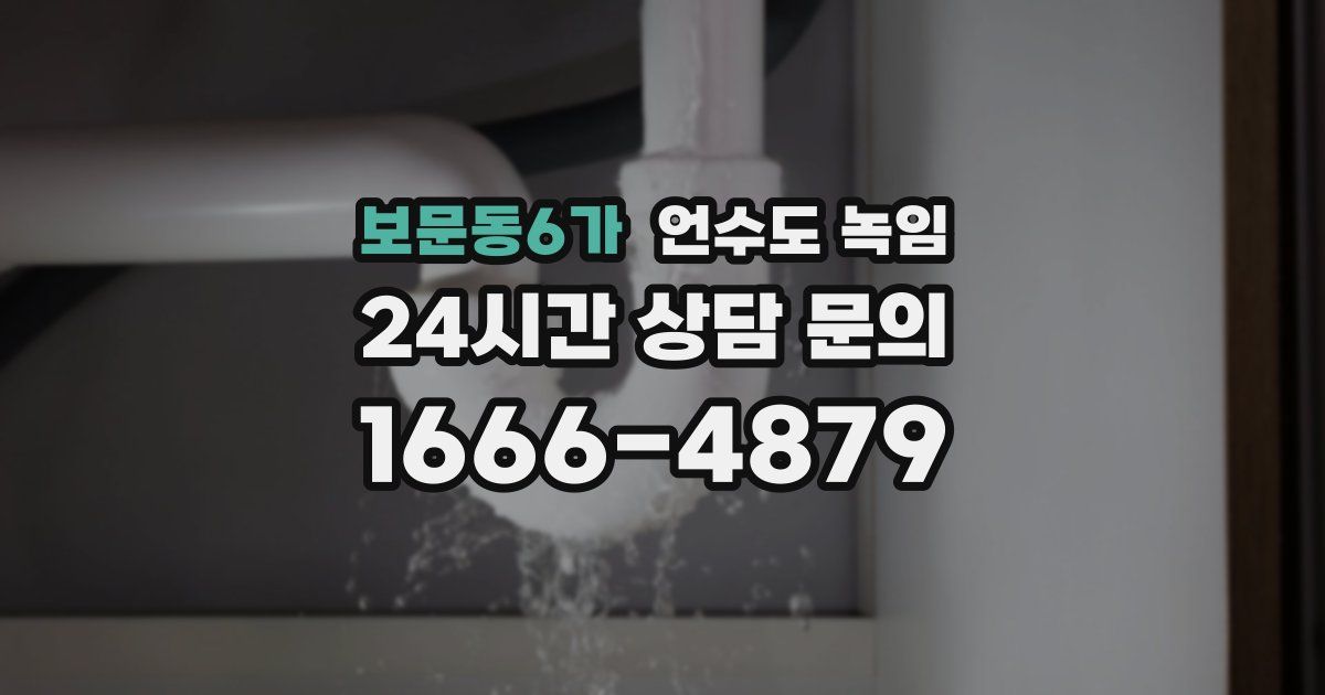 보문동6가 언수도 녹임