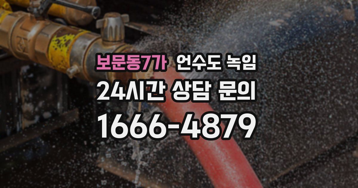 보문동7가 언수도 녹임