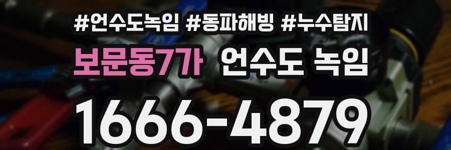 보문동7가 언수도 녹임