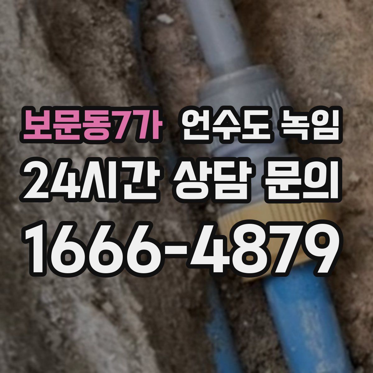 보문동7가 언수도 녹임