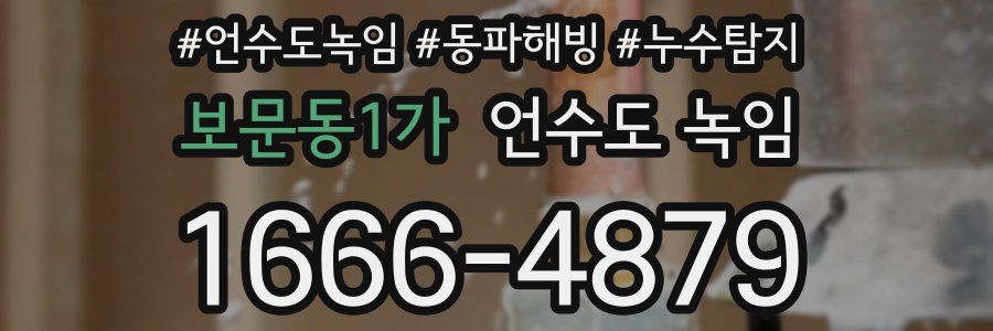 보문동1가 언수도 녹임