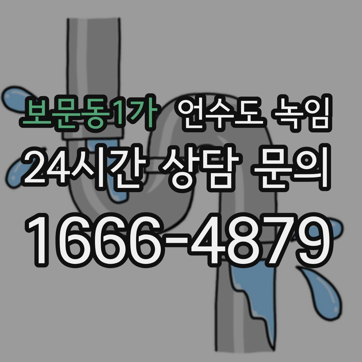 보문동1가 언수도 녹임