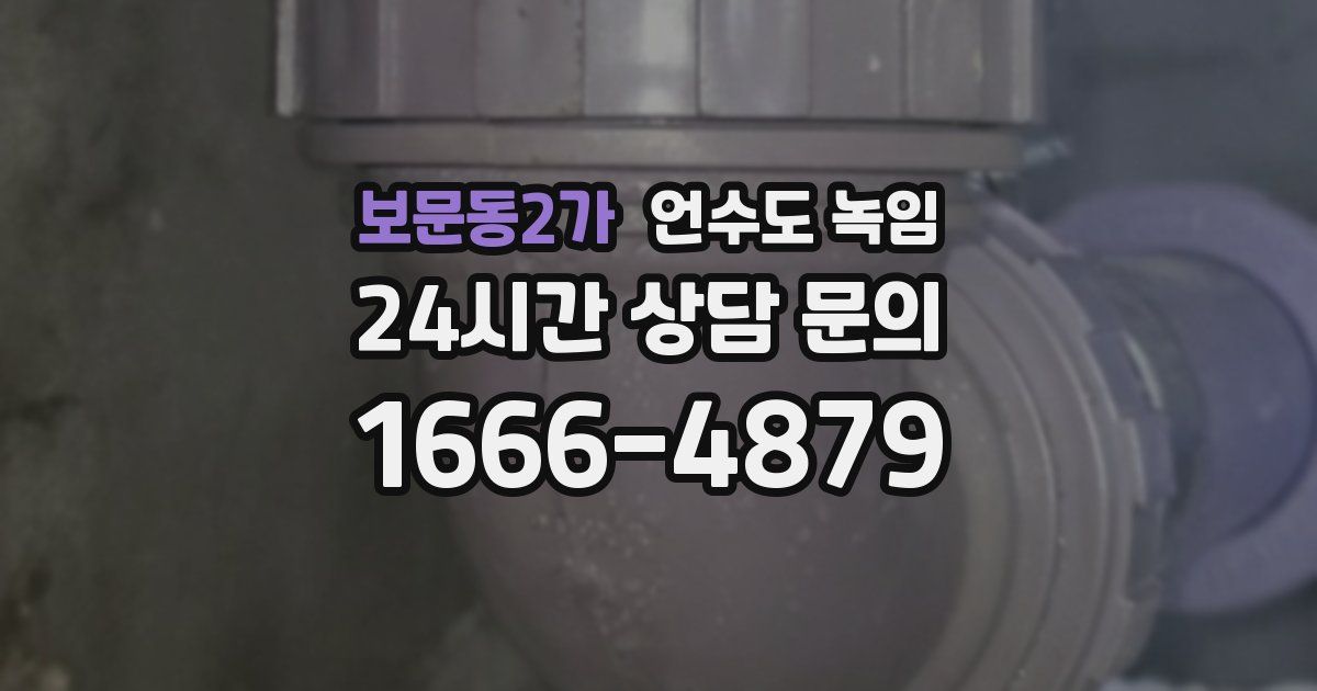 보문동2가 언수도 녹임