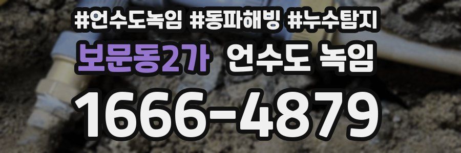 보문동2가 언수도 녹임