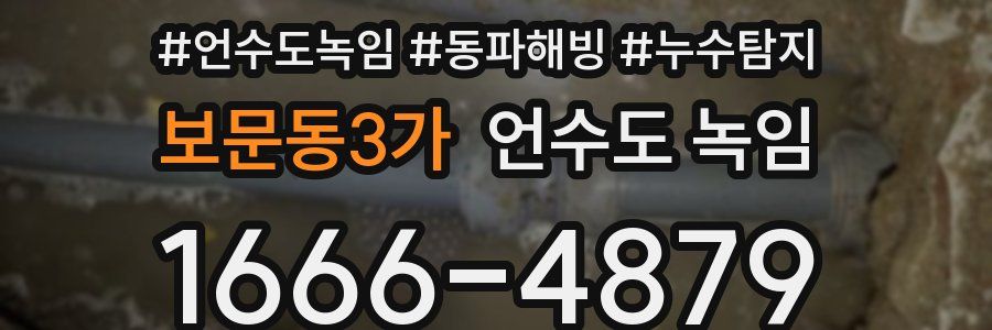 보문동3가 언수도 녹임