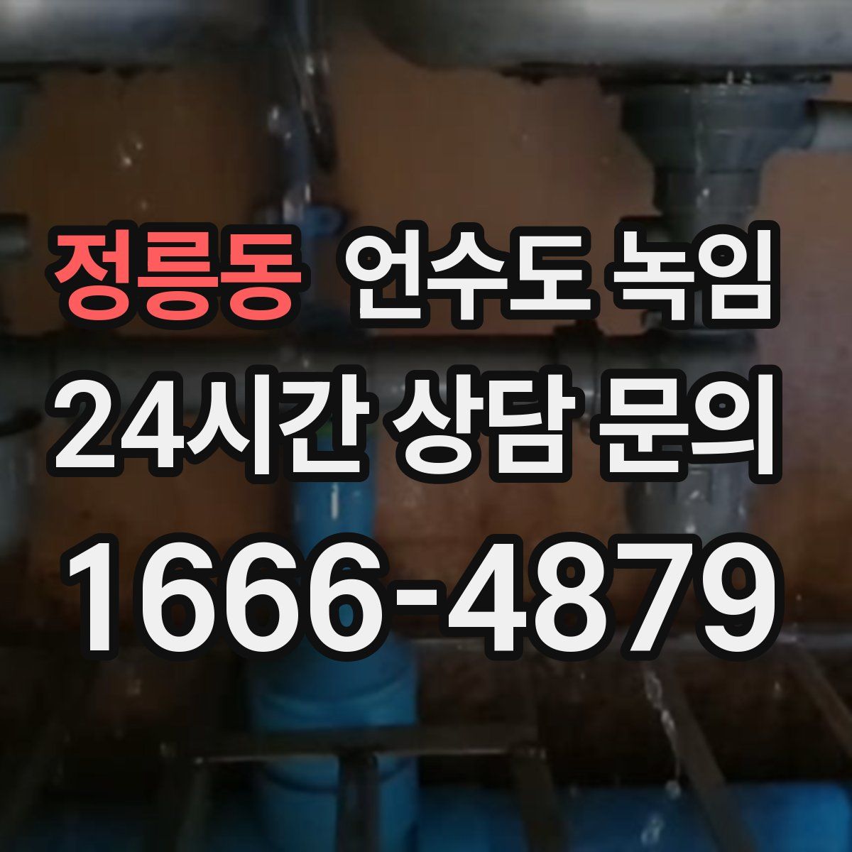 정릉동 언수도 녹임