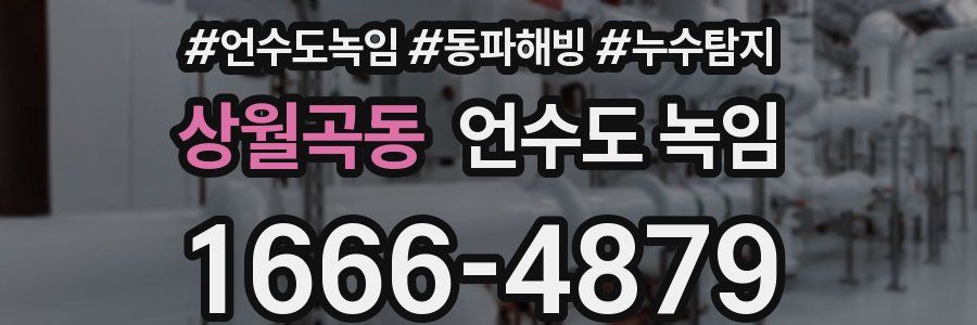 상월곡동 언수도 녹임