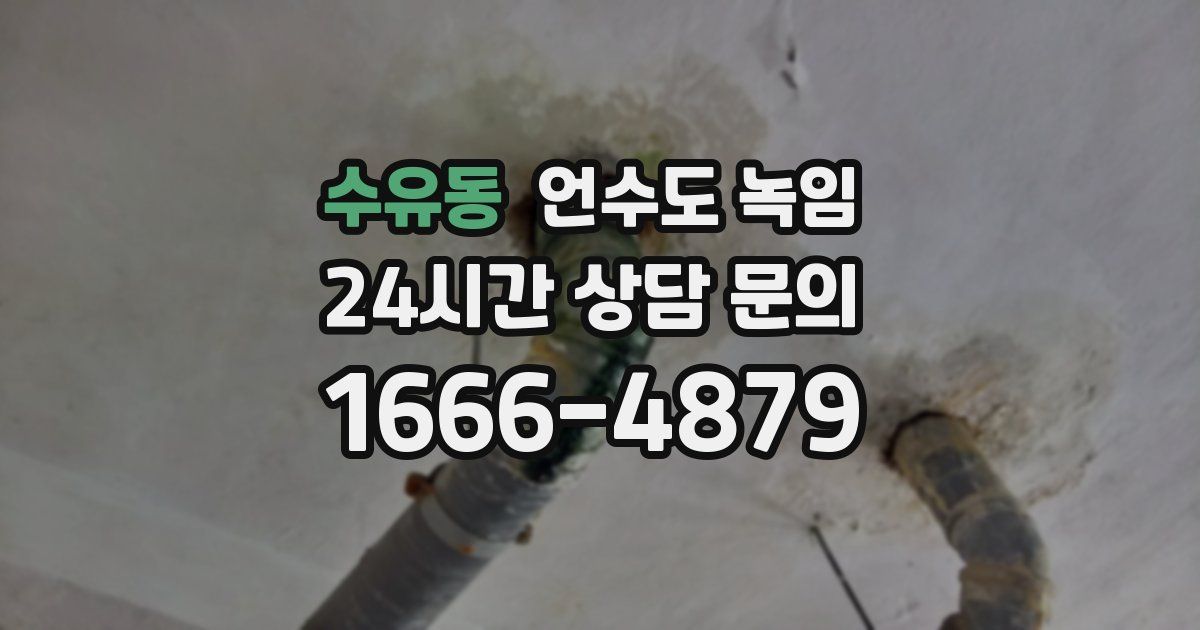 수유동 언수도 녹임