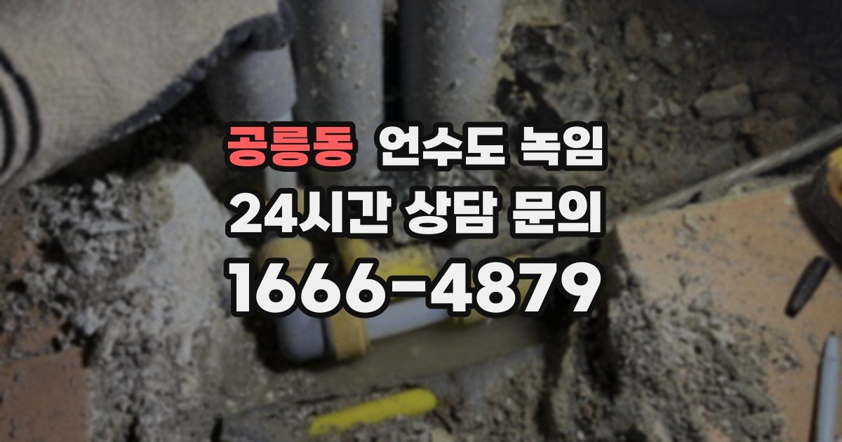 공릉동 언수도 녹임