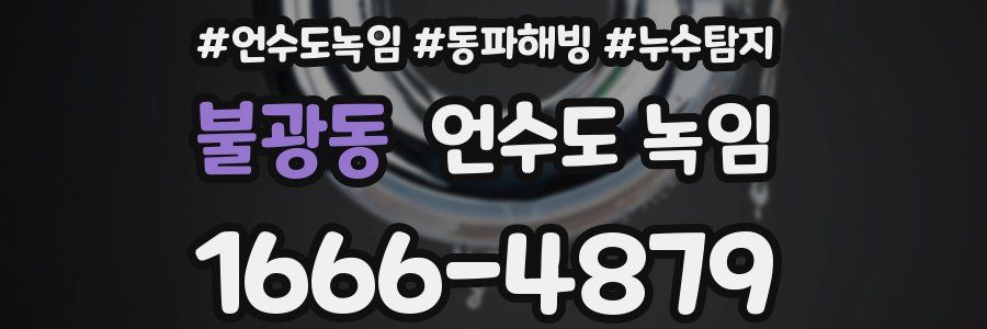 불광동 언수도 녹임