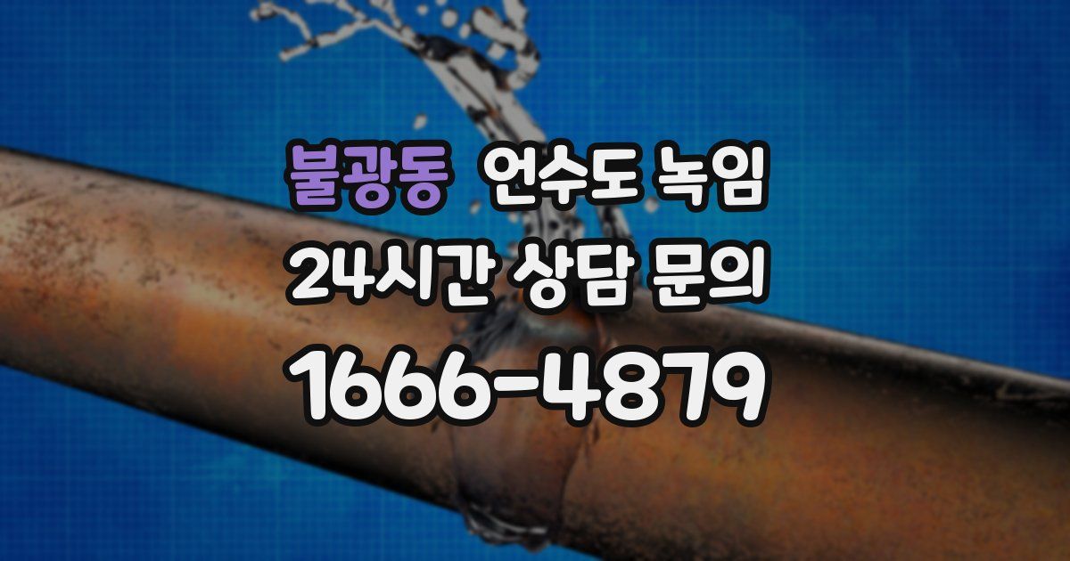 불광동 언수도 녹임