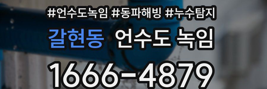 갈현동 언수도 녹임