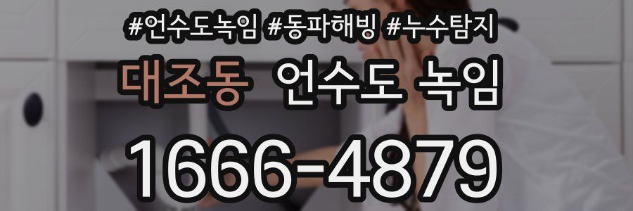 대조동 언수도 녹임