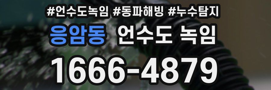 응암동 언수도 녹임