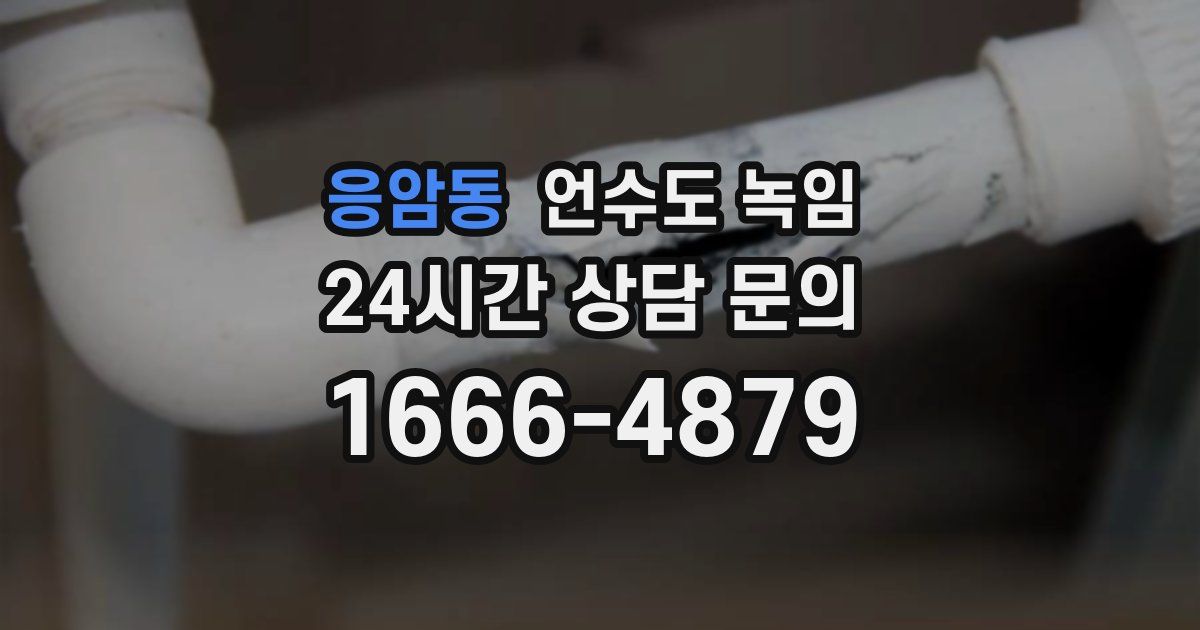 응암동 언수도 녹임