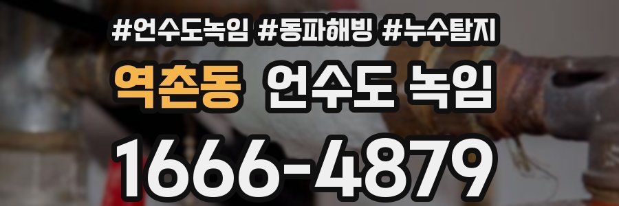 역촌동 언수도 녹임